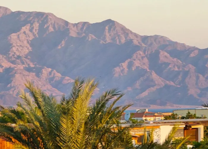 Manzzel * Dahab